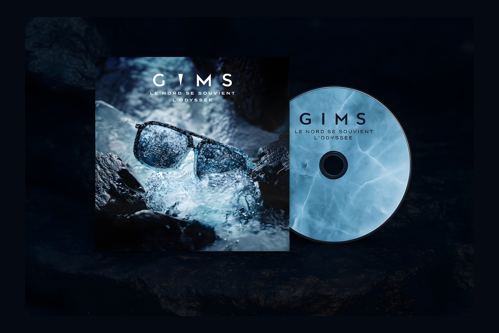 *Exclusif* Pack Hoodie & Album – Image 4